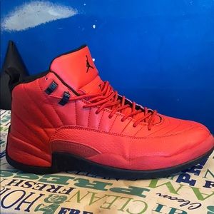 Chicago bulls jordan 12
